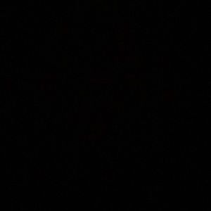 Meet your Posher, Levi